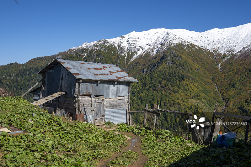 阿尔特温省马卡赫尔地区的埃费勒村芬迪克高原图片素材