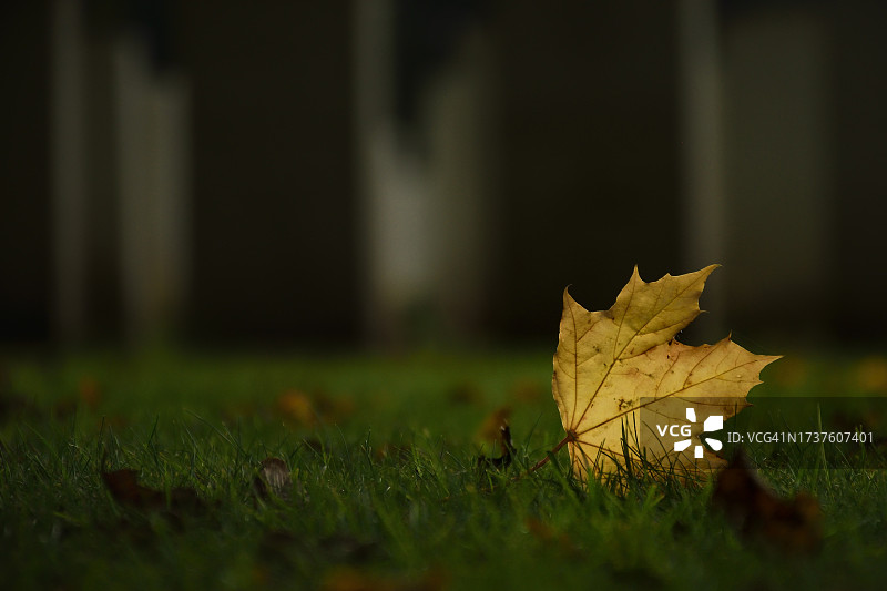 11月日历图片素材