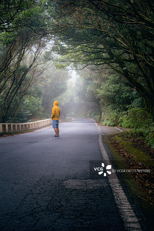 雾中公路上的行人，迷雾森林小径上的孤影图片素材