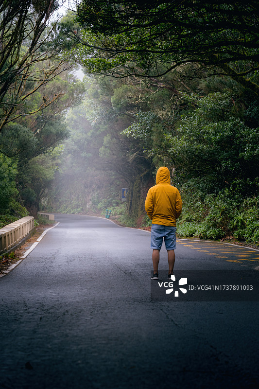 雾中公路上的行人，迷雾森林小径上的孤影图片素材