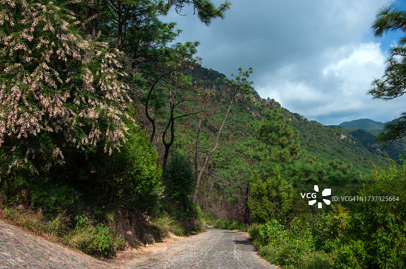 前往阿塔切山观景台的道路，墨西哥格雷罗图片素材