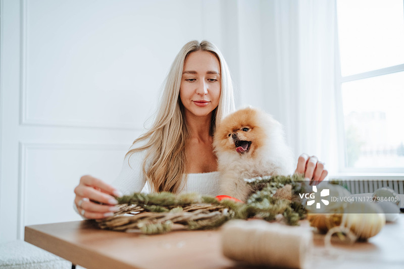 与斯皮兹助手手工制作花环。做圣诞花环的金发女人图片素材