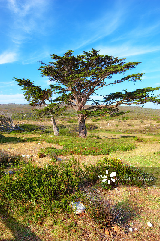 南非开普敦风光照片图片素材