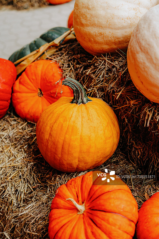 农贸市场上的各种南瓜图片素材