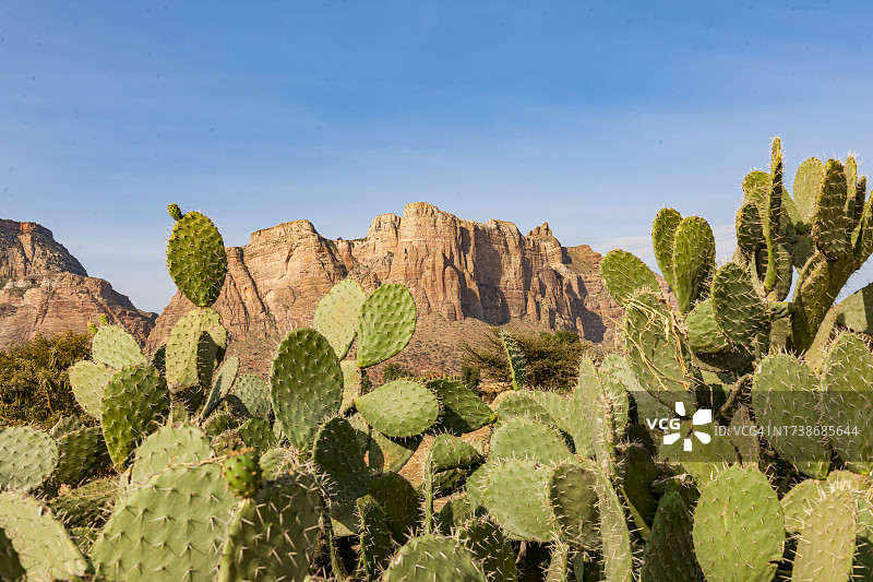 玛丽亚姆·帕帕塞蒂教堂附近的提格雷高原景观图片素材