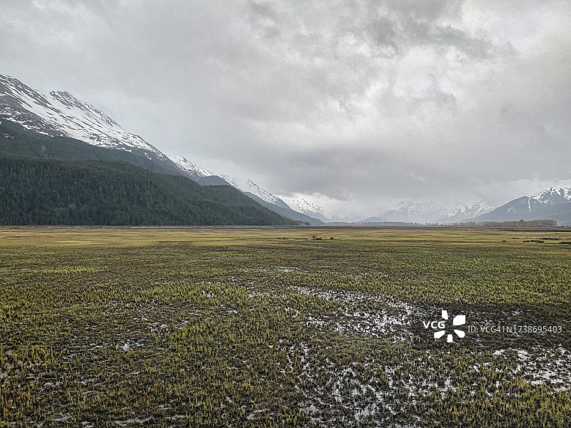 阿拉斯加州，波蒂奇附近的沼泽地图片素材