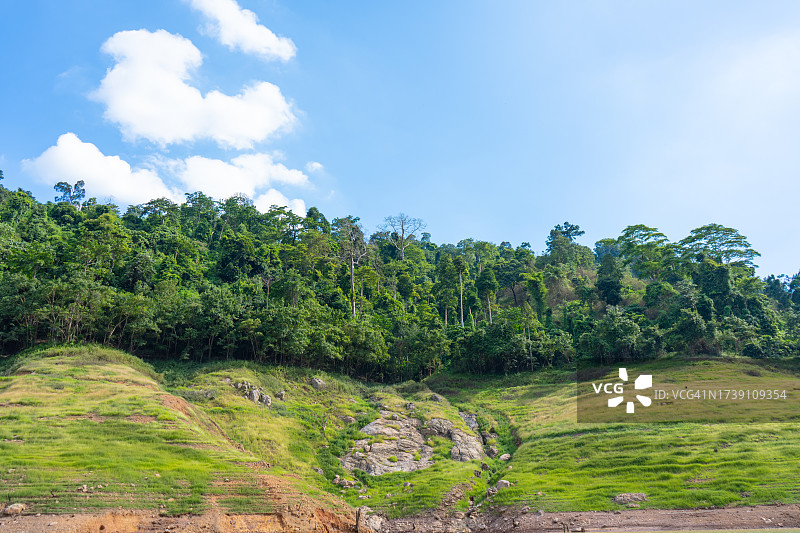 那空那育府的绿树草地图片素材