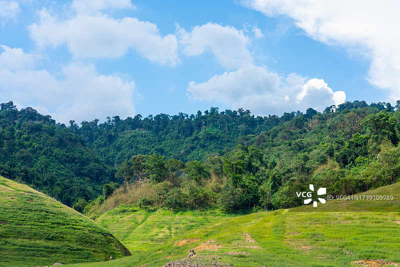 那空那育府的绿树草地图片素材