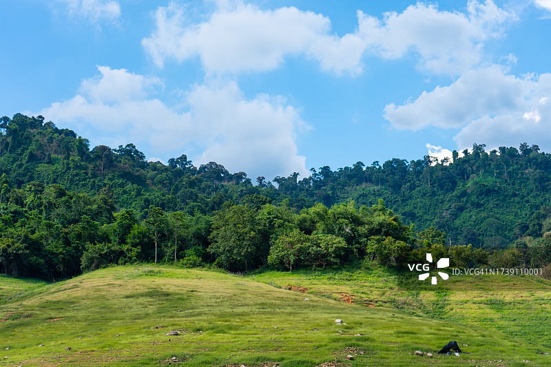 那空那育府的绿树草地图片素材