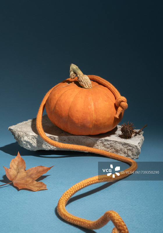 带有南瓜、绳索、干燥枫叶和石头的抽象静物，带有文本或设计元素的复制空间。秋季蔬菜、感恩节、万圣节庆祝活动图片素材