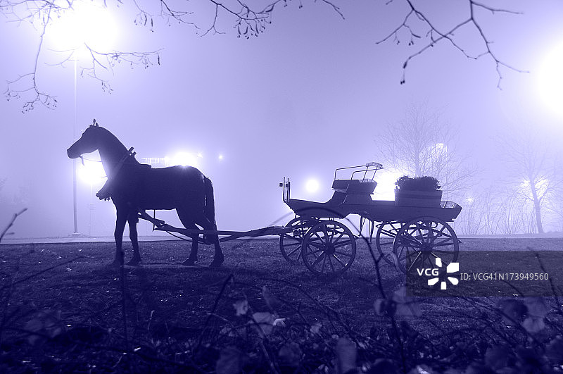 雾夜中的马车图片素材