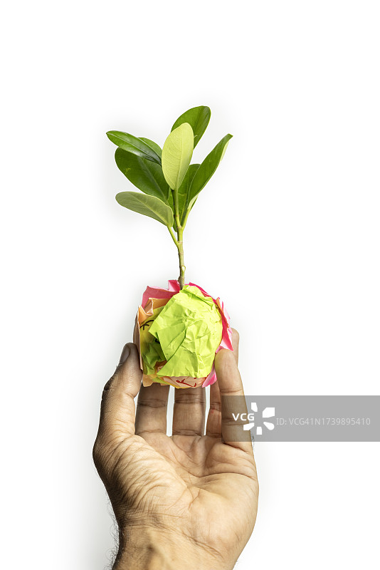 可持续性：手持从小处生长的植物图片素材