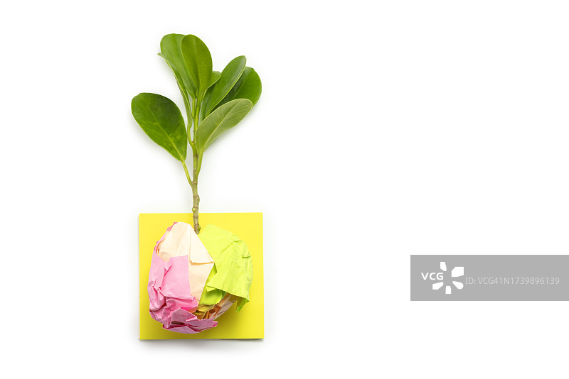 可持续发展：小纸条地球上的小植物图片素材