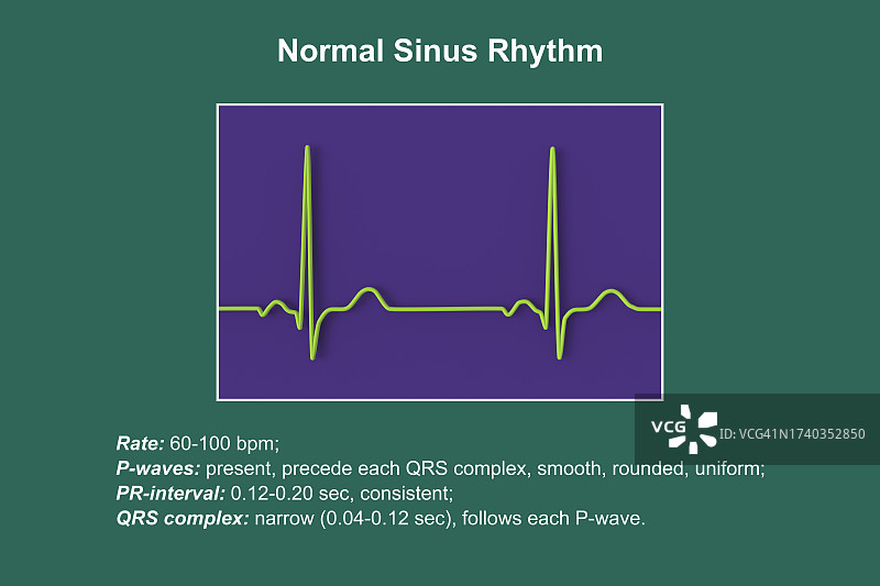 健康心跳节律插画图片素材