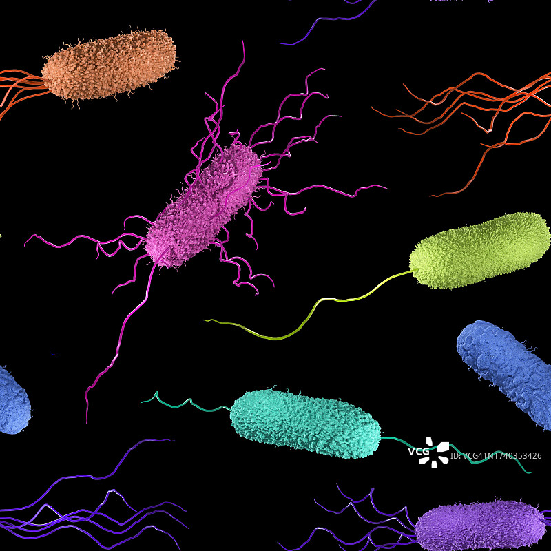 细菌,插图图片素材