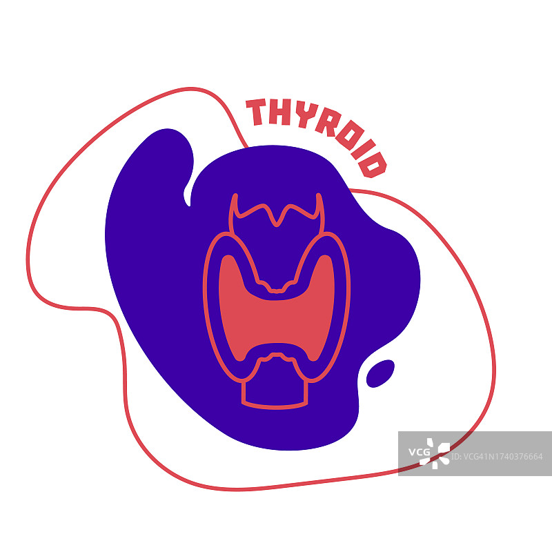 甲状腺，图示图片素材