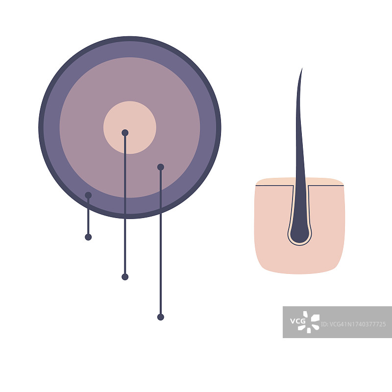 直发发丝结构插画图片素材