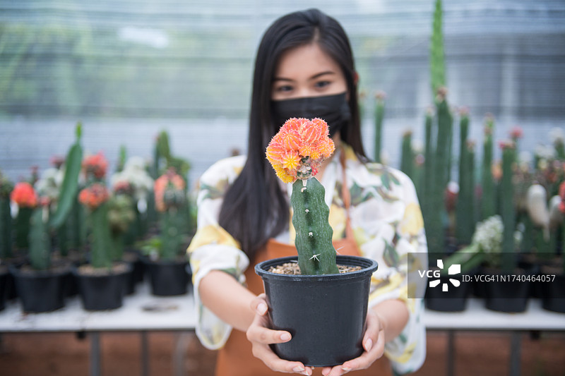 在泰国温室里手持仙人掌的女人肖像图片素材