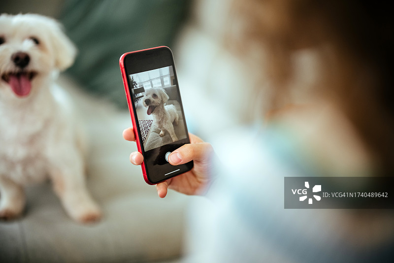 我喜欢我宠物的照片图片素材