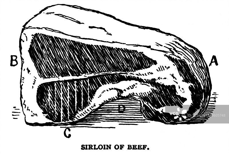 老式雕刻插图：牛腰肉图片素材