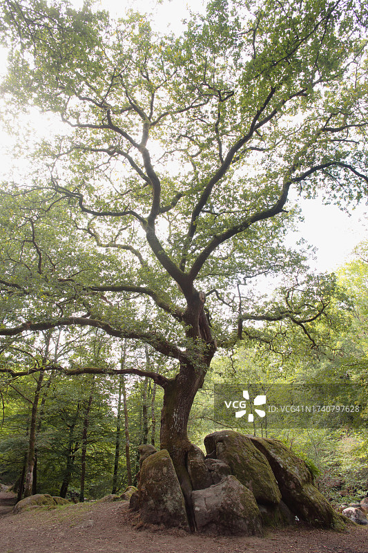 法国圣朱尼安87号格拉内山谷科罗遗址图片素材