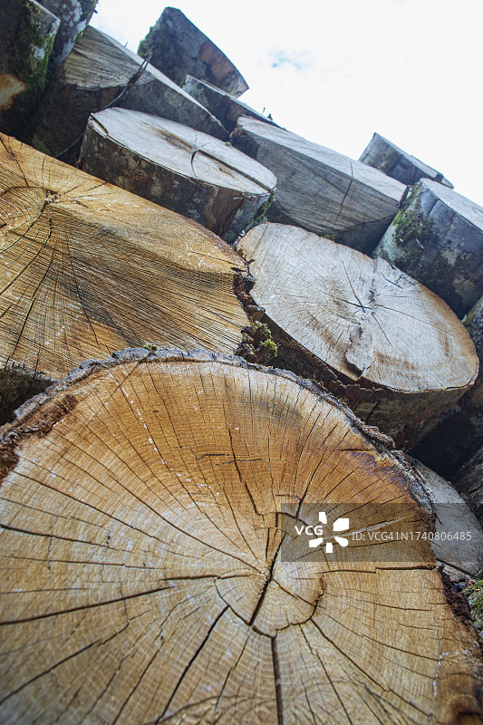 法国奥比松23：卡车运输原木图片素材