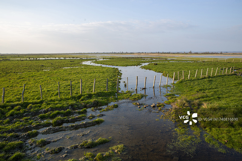 法国卢瓦尔河口马雷沙莱岛湿地图片素材