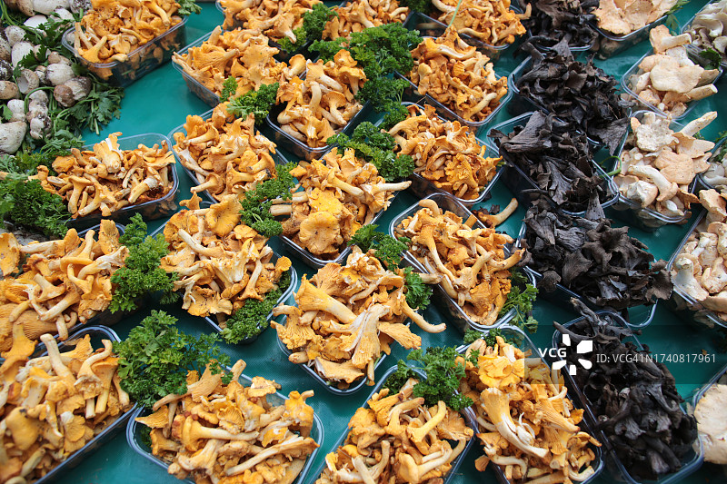 法国巴黎穆夫塔街市场上的蘑菇图片素材