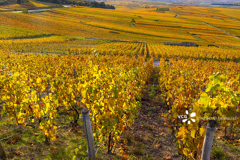 法国大东区马恩省韦尔泽奈的兰斯山图片素材