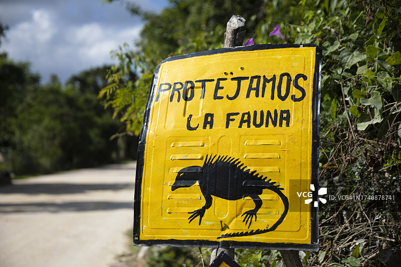 墨西哥金塔纳罗奥州鬣蜥标牌图片素材