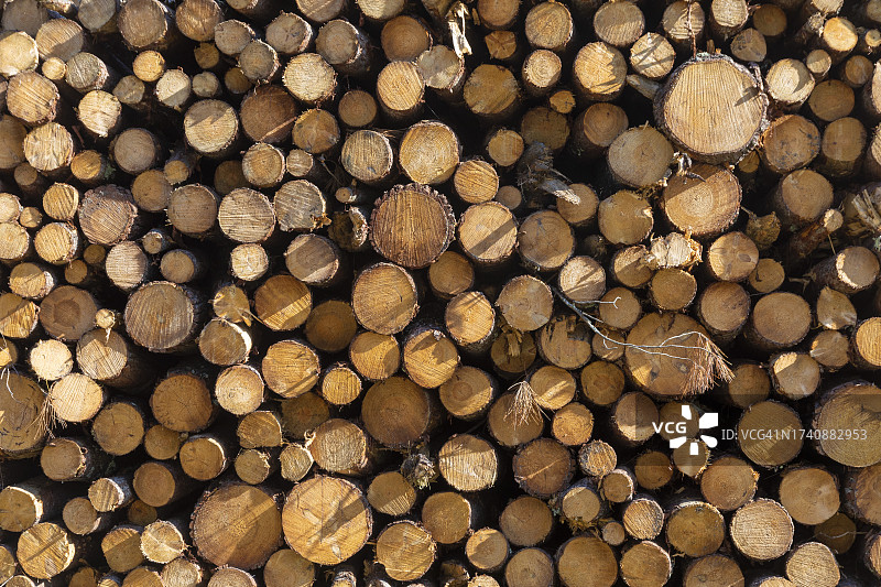 法国新阿基坦吉伦特拉卡诺图片素材