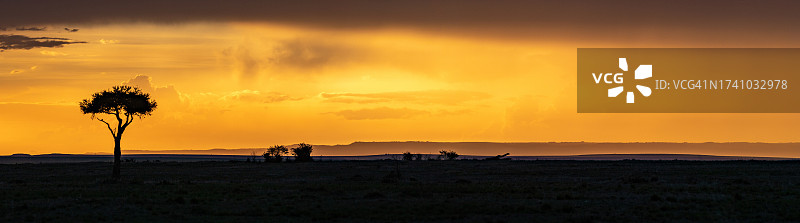 日落时天空映衬下田野上树木的剪影图片素材