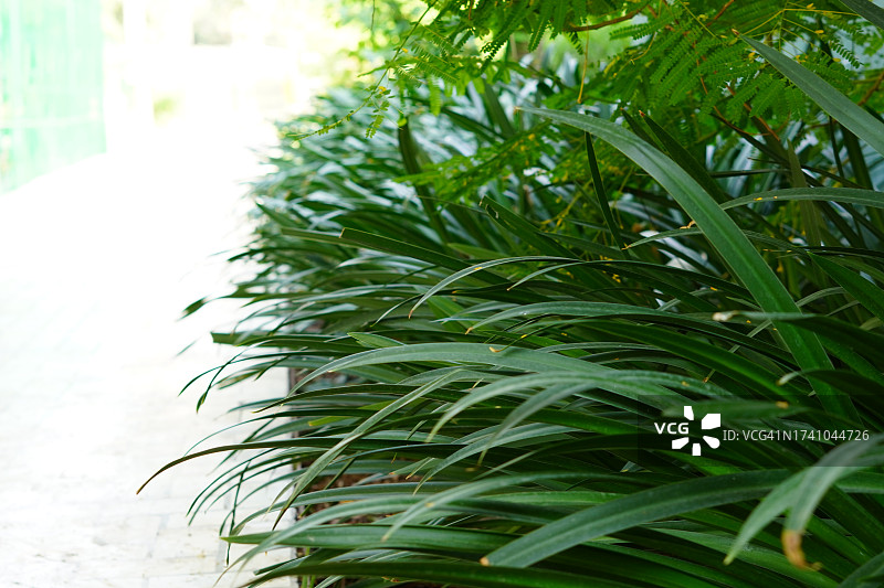 厂房特写图片素材