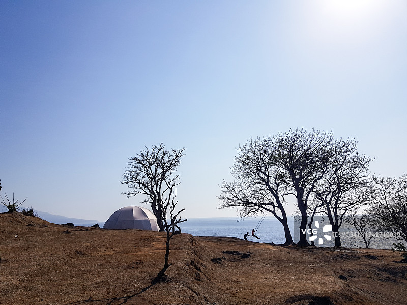 以大海和天空为背景的山丘上的枯树图片素材