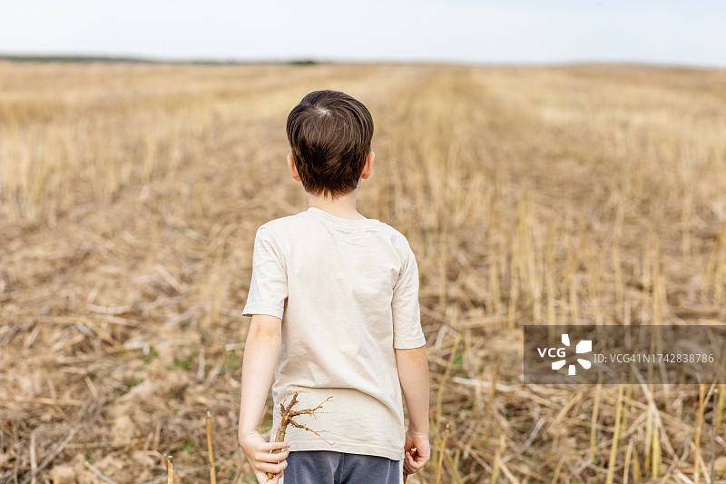 一位6岁男孩走在农场收割后的田野上图片素材