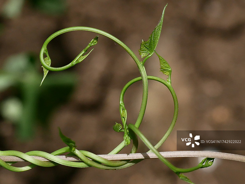 厂房特写图片素材