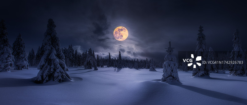 夜空下的雪景图片素材