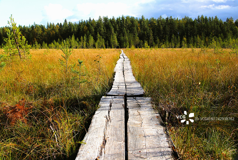 芬兰 Ruovesi 的田野栈道图片素材