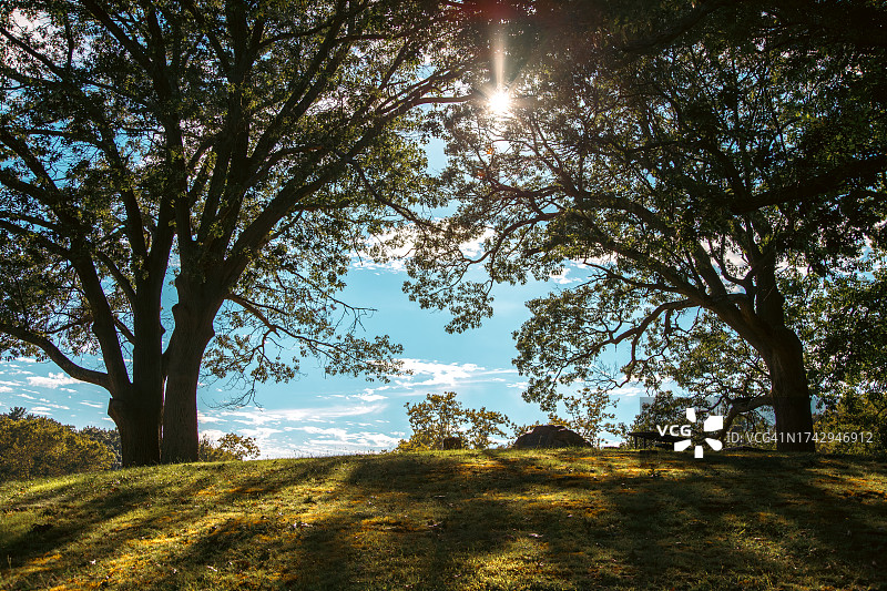 美国马萨诸塞州莫尔登的田野树木景色图片素材