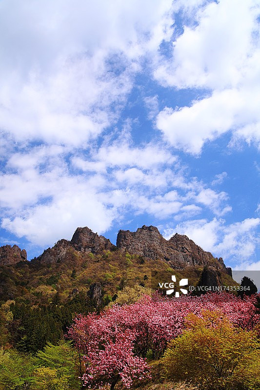 春季妙义山图片素材