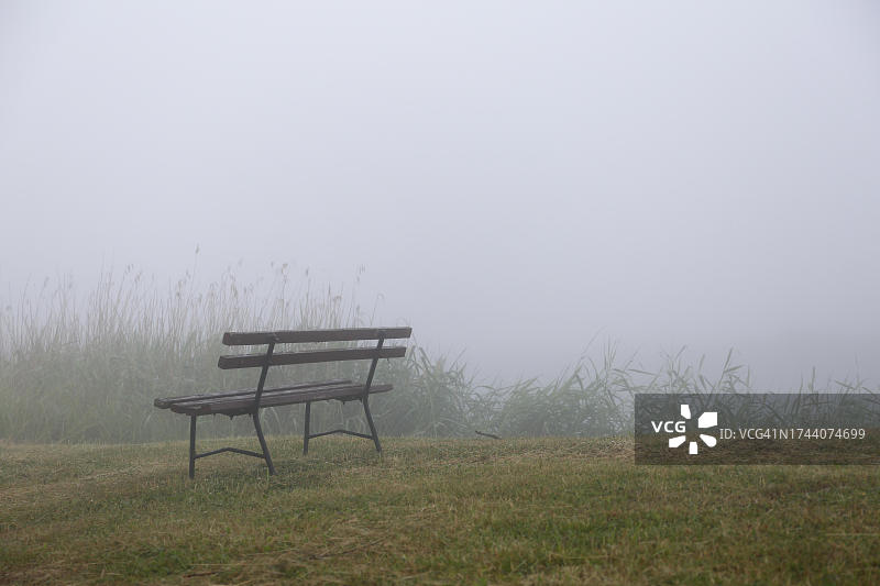 特雷贝尔河畔水上徒步休息区的雾中公园长椅，位于德国梅克伦堡-前波美拉尼亚州佩内塔尔河自然公园图片素材