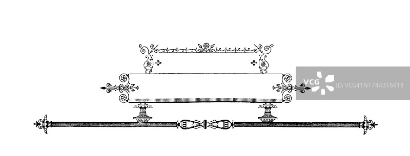 带有鸟类的装饰背景的古老雕刻插图图片素材