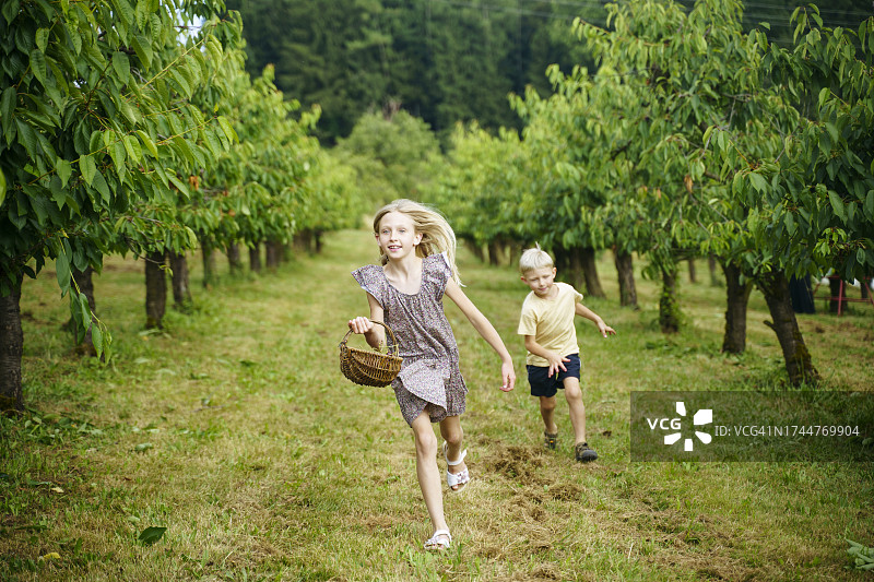 金发女孩拿着柳条篮子和弟弟在花园里奔跑图片素材