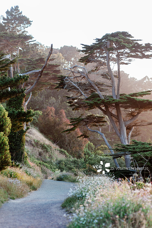 美国旧金山天涯海角图片素材