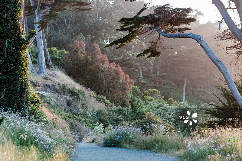 美国旧金山天涯海角图片素材