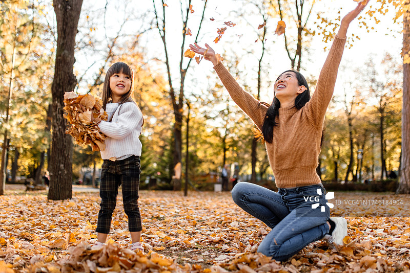 在阳光明媚的公园里玩秋叶图片素材