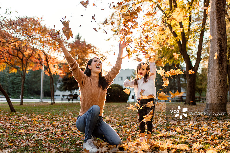 在阳光明媚的公园里玩秋叶图片素材