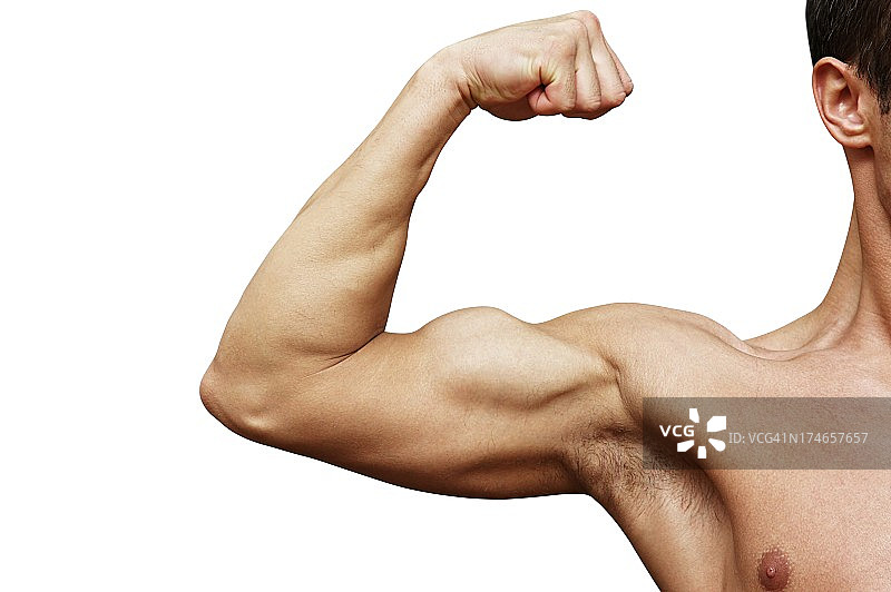 白色背景上的二头肌图片素材