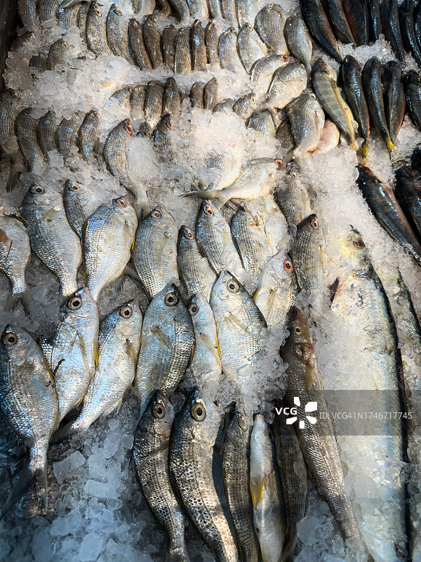 海鲜市场展示照片图片素材