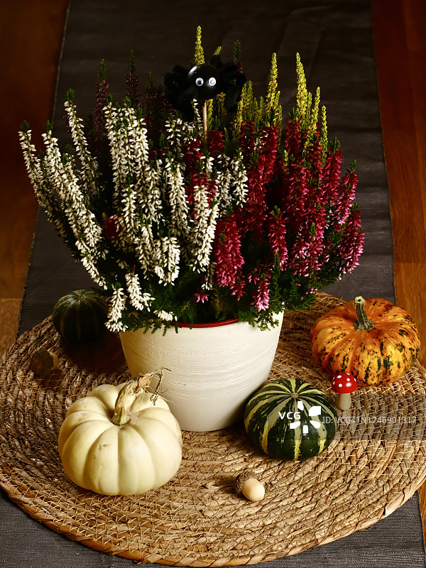 桌子上的南瓜和鲜花（高角度拍摄）图片素材